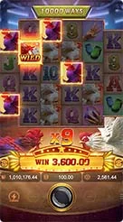sl99 · Rooster Rbl